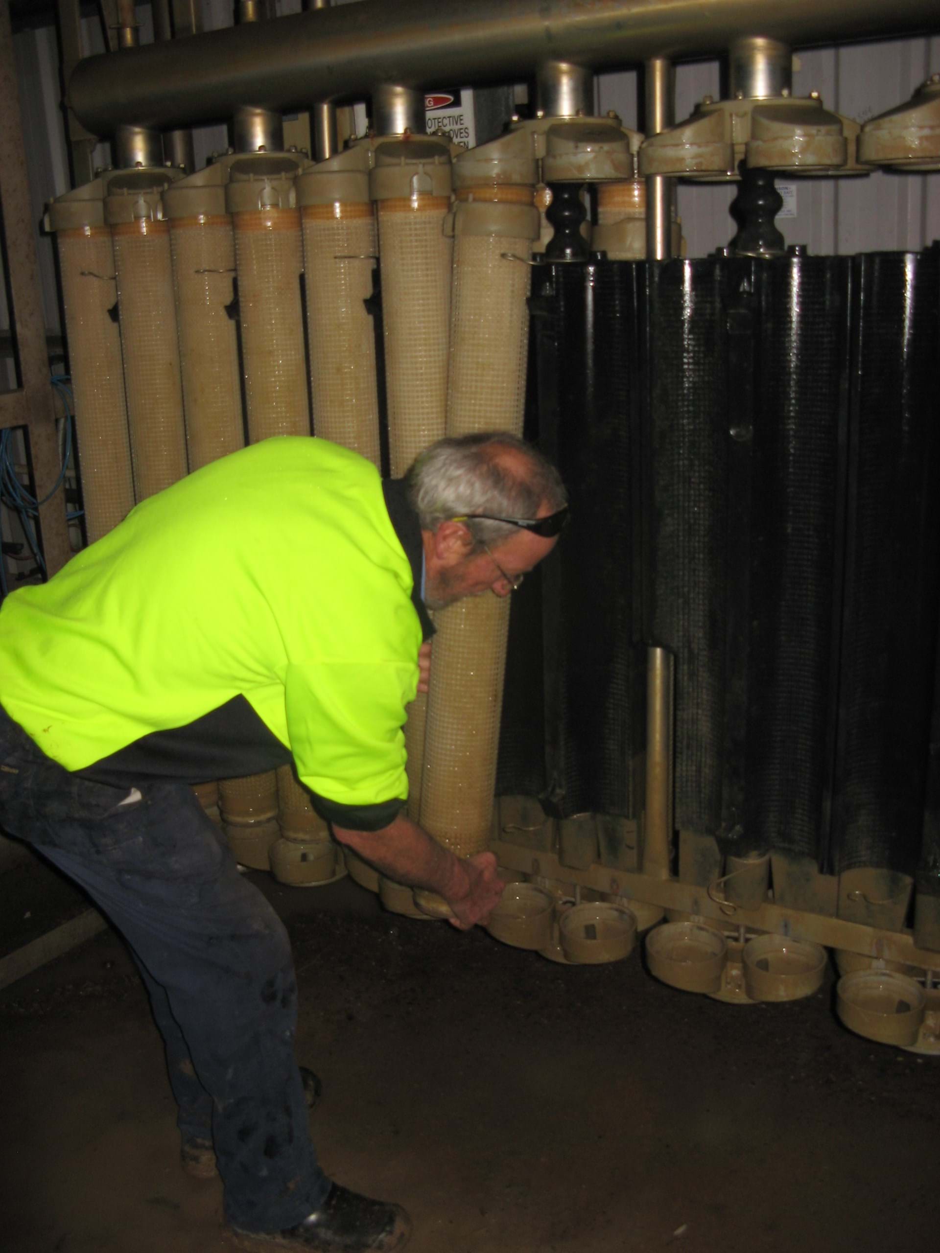 Removing membranes for inspection during a service